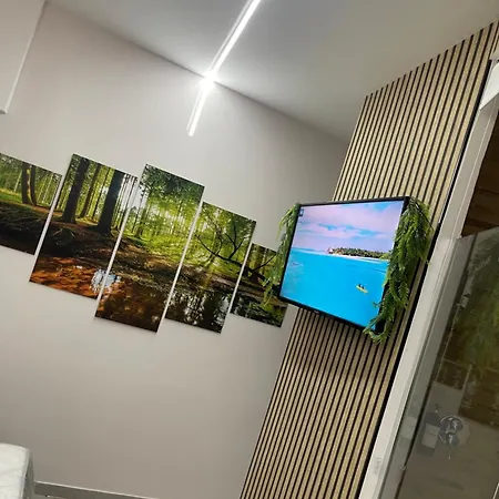 Jungle